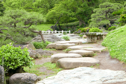 The green tree, plants, stone footpath in Japanese zen garden