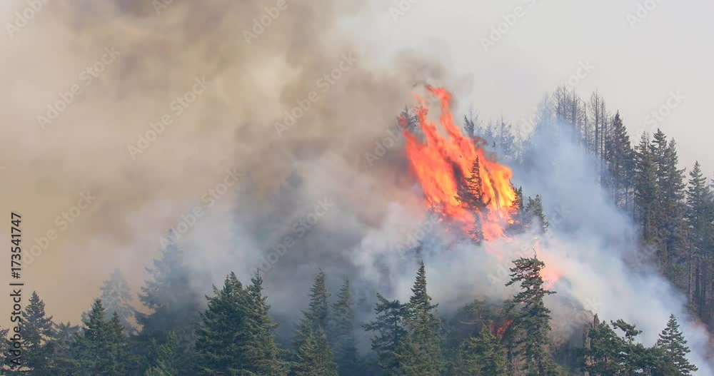 Eagle Creek Fire Oregon