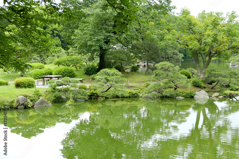 The green tree, plants, Japanese zen garden and lake