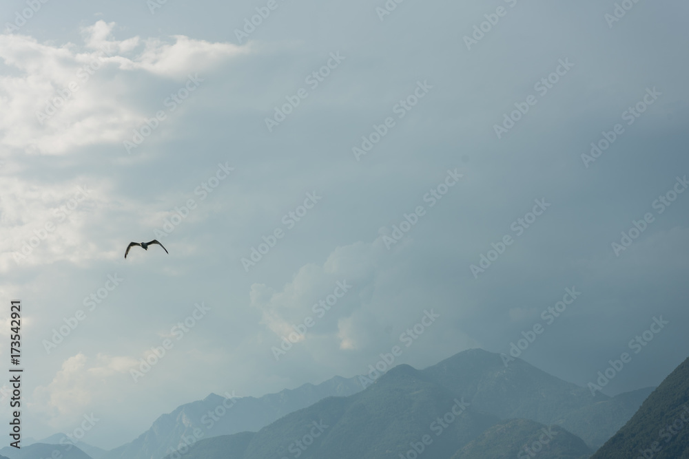ascona lago maggiore mountain view with cloudy sky and tree ascona lago maggiore mountain view with cloudy sky and tree