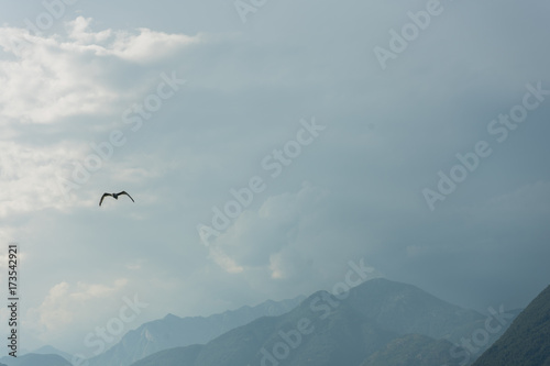 ascona lago maggiore mountain view with cloudy sky and tree © DSGNSR