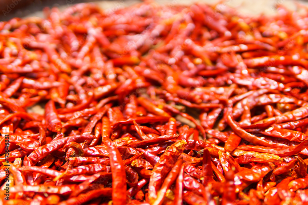 Fototapeta premium pile of Dried Red Chilli pepper for abstract background. chilli is asian vegetable for spicy ingredient in food. selective focus.