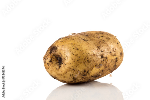 Dirty potato isolated on white background.