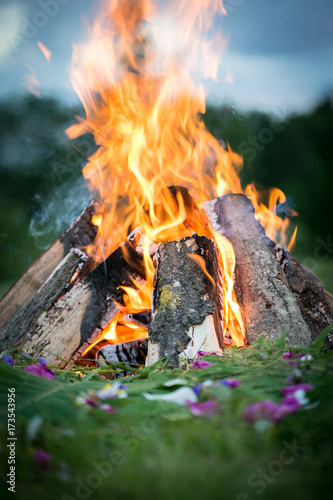 Bonfire in a wood with fern and flowers