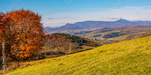 Fototapeta Naklejka Na Ścianę i Meble -  tree on hillside in mountainous autumn countryside