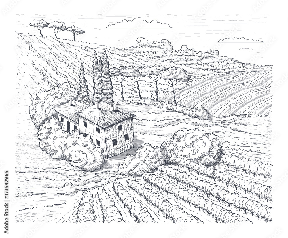 Countryside scenery in Tuscany, Italy. Handmade drawing vector illustration. Vintage style