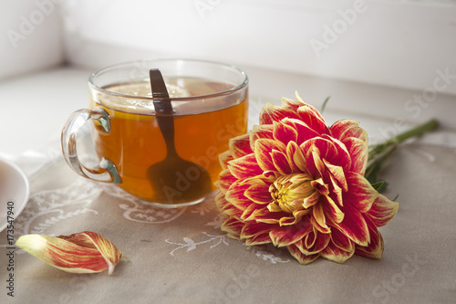 Fototapeta Naklejka Na Ścianę i Meble -  the Autumn still life with red dahlias in a tin jar, pumpkin, a cup of tea and apples on the window in sunny weather