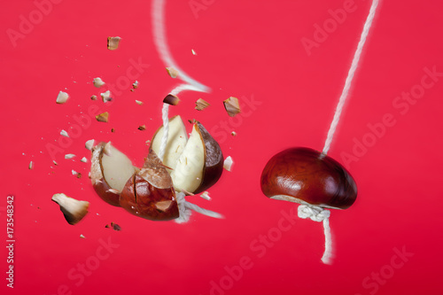 Conker exploding on a string. Smash or break the competition business concept with a strong conker on string smashing another conker on a string. Metaphor for business strength.