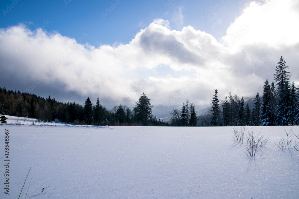 Landschaft im Winter mit Sonne und Wolken und Bäume im Bayerischen Wald Landschaft im Winter mit Sonne und Wolken und Bäume im Bayerischen Wald