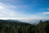 Blcik vom Gipfel eines Berges ins Tal im Bayerischen Wald