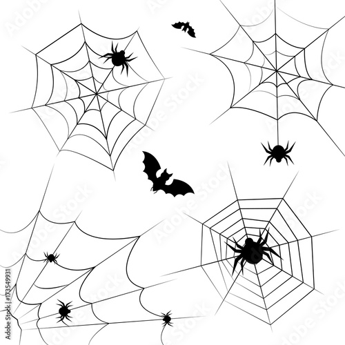 Halloween cobweb vector frame border and dividers isolated on white with spider web for spiderweb scary design.
