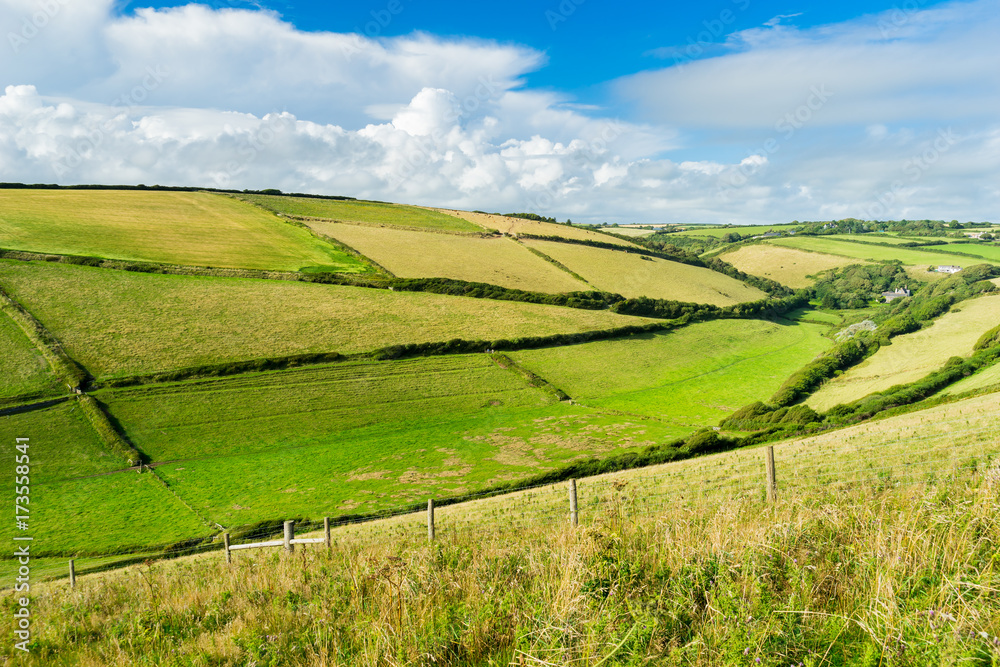 Devon Countryside Views
