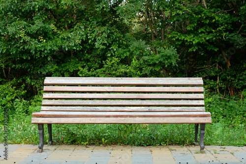 Old wooden bench in park