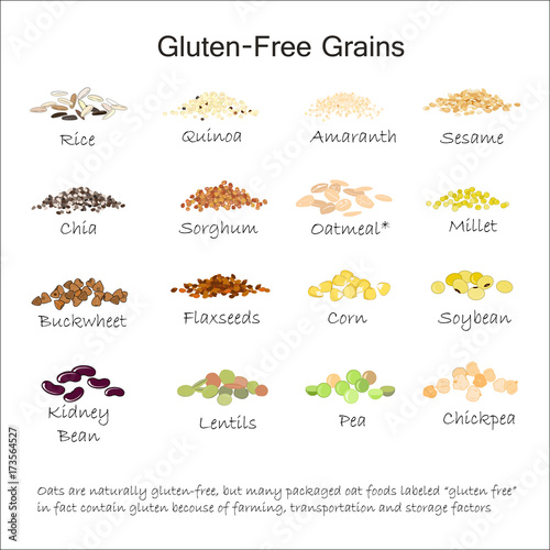 A variety of gluten free grains. Buckwheat, amaranth, rice, millet, sorghum, quinoa, chia seeds, flax seeds, sezam, oatmeal, legumes. Vector illustration