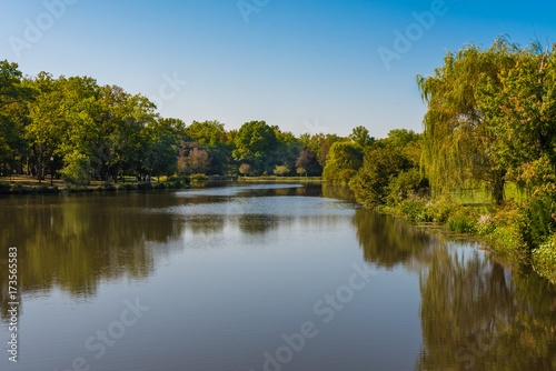 Trees around the Lake in Veronal Park