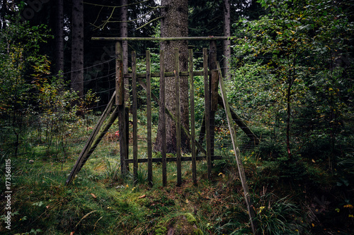 Alte Holztür im dunklen Wald © ohenze