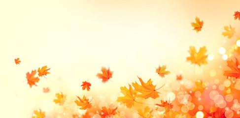 Autumn background. Fall abstract background with colorful leaves and sun flares