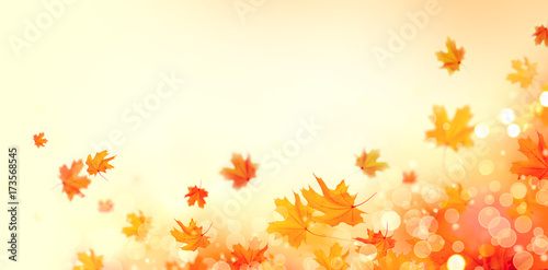 Autumn background. Fall abstract background with colorful leaves and sun flares