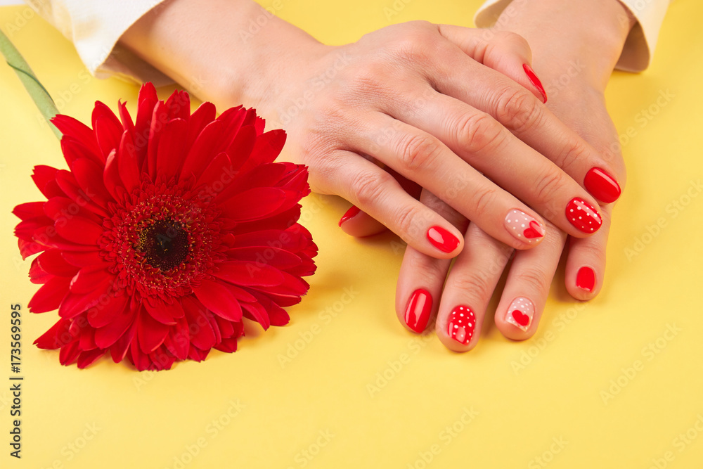 Female hands and red gerbera. Beautiful red gerbera next to woman manicured hands on yellow background. Skin and nails treatment.