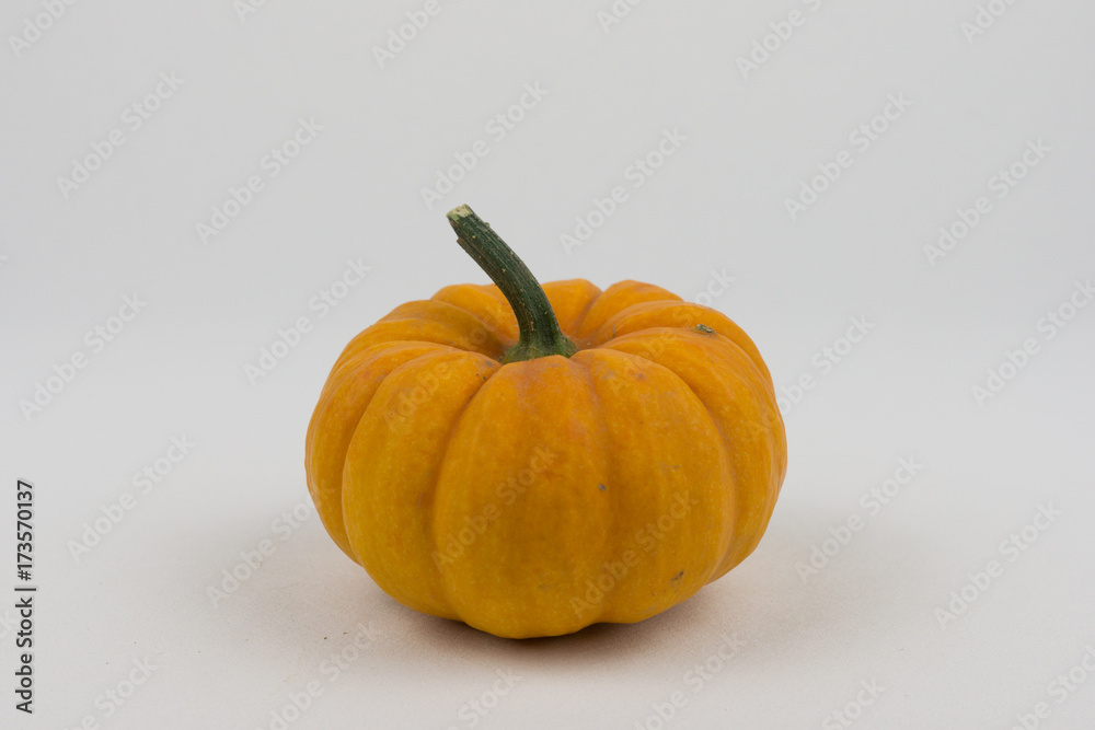 kürbis dekoration im herbst für gastronomie oder halloween kürbis dekoration im herbst für gastronomie oder halloween