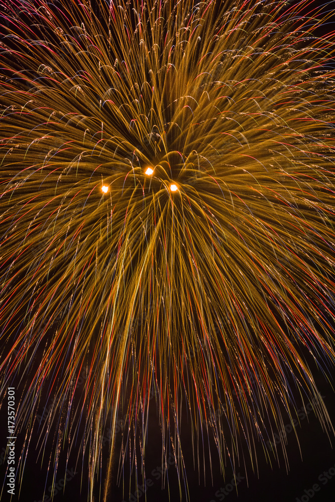 Obraz premium hanabi