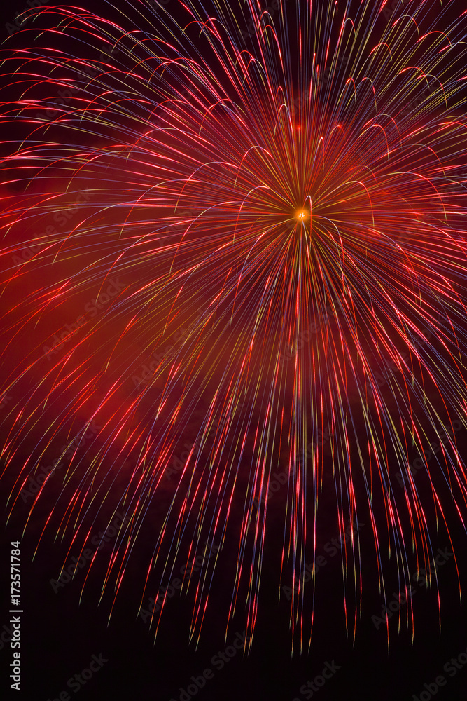 Obraz premium hanabi