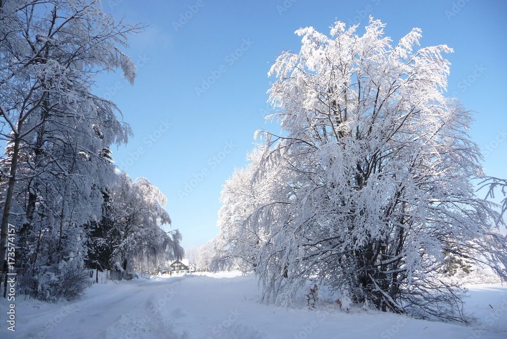 Beautiful winter countryside in Czech Republic with blue sky, Jeseniky, Rejviz Beautiful winter countryside in Czech Republic with blue sky, Jeseniky, Rejviz