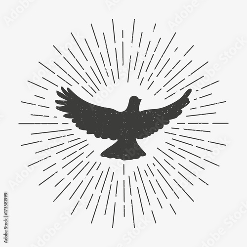 Dove illustration. Vector. Isolated.