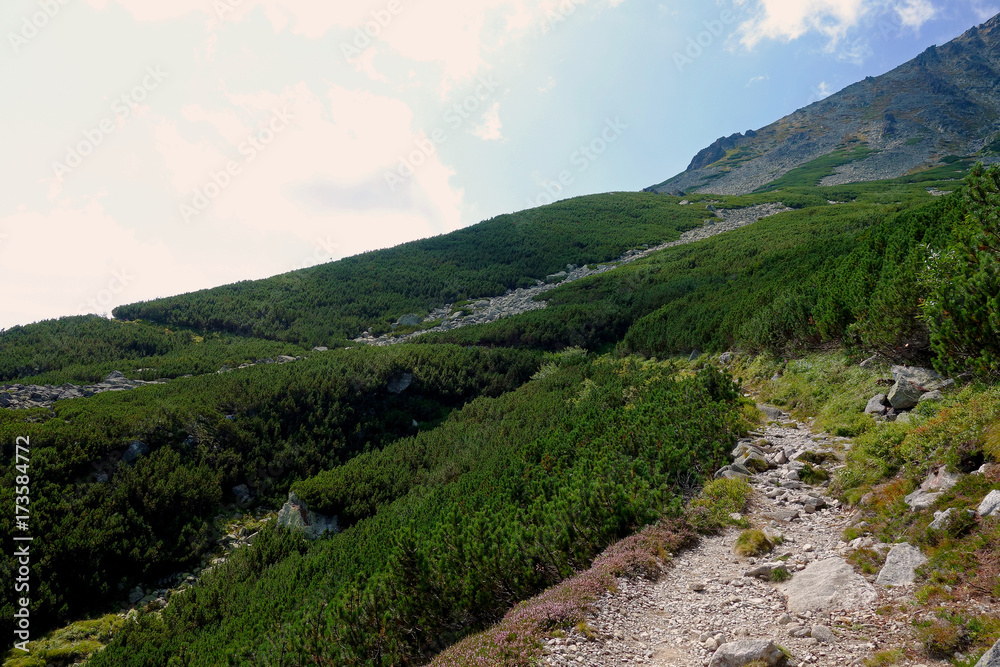 Fototapeta premium High Tatras above Tatranska Lomnica
