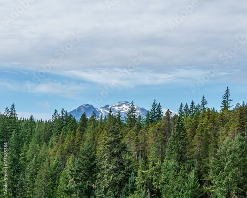 Mountain far away through the forest with blue sky and white clouds summer landscape.