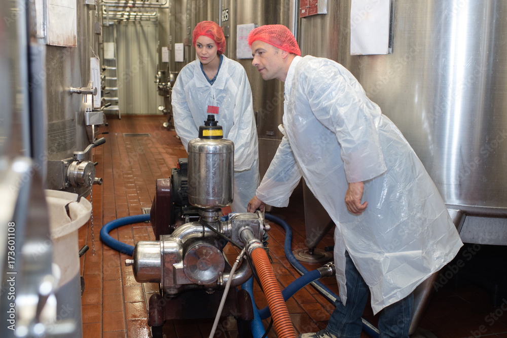 checking wine at a manufactory chemical laboratory checking wine at a manufactory chemical laboratory