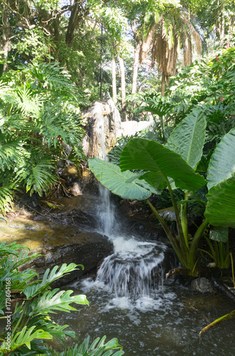 Waterfall Brisbane botanical vert.