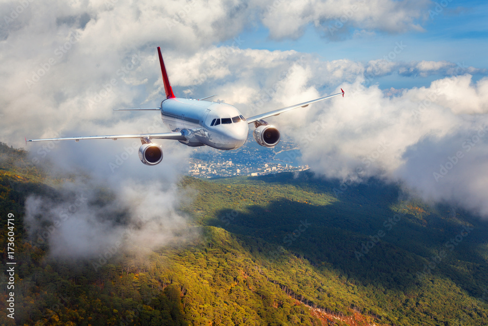 Obraz premium Airplane is flying in clouds over mountains with forest at sunset. Landscape with white passenger airplane, cloudy sky and green trees. Passenger aircraft is landing. Business travel. Commercial plane