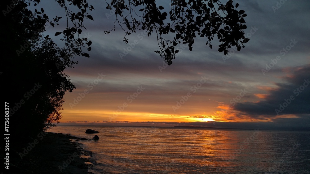 Ocean Sunset Under Tree