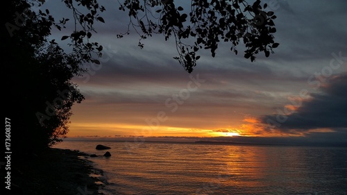 Ocean Sunset Under Tree © Tyler