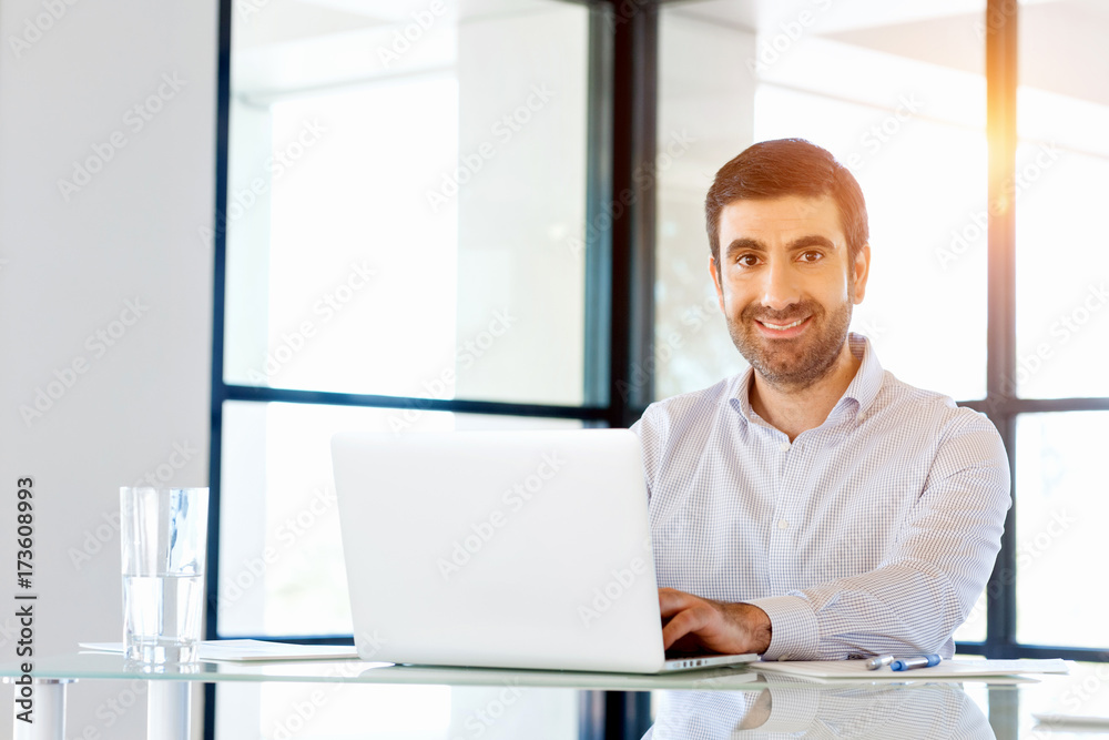 Handsome businessman working at computer