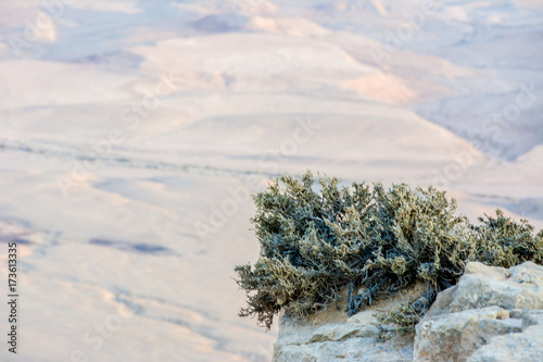 view of the crater from the rock. National park HaMakhtesh Mitzpe Ramon. Unique relief geological erosion land form. Negev,Israel photo