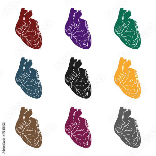 Human heart icon in black style isolated on white background. Human organs symbol stock vector illustration.