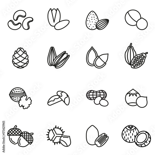 Nut icons Set. Line Style stock vector. photo