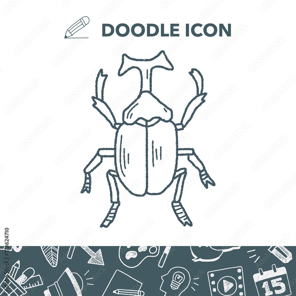 Fototapeta premium beetle doodle