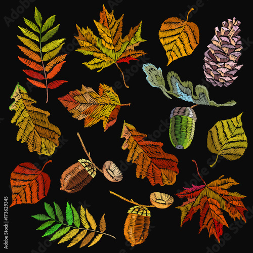 Embroidery autumn collection. Classical september embroidery autumn leaves, acorns wild forest, oak and maple leaves. Fashionable collection template for design of clothes, t-shirt design