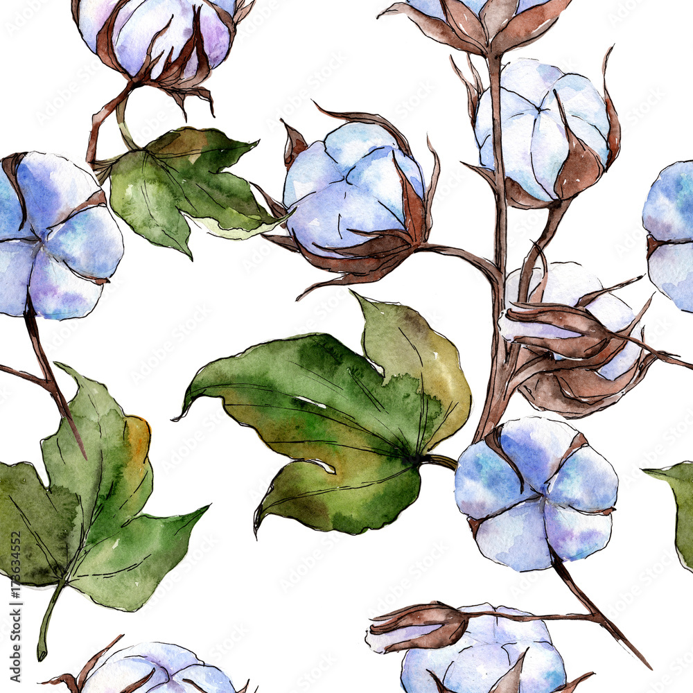 Wildflower cotton flower pattern in a watercolor style. Full name of ...