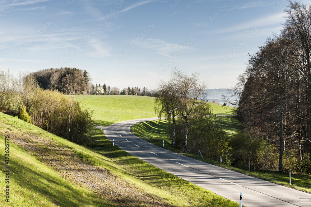Fototapeta premium Road between pastures in Switzerland