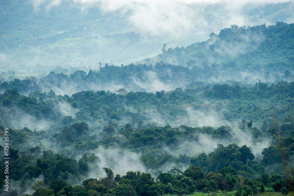 Obraz premium Aerial view of hills in rural covered with fog in the morning