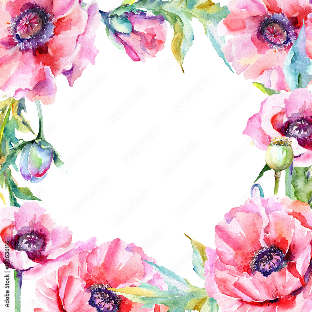 Wildflower poppy flower frame in a watercolor style. Full name of the plant: pink poppy. Aquarelle wild flower for background, texture, wrapper pattern, frame or border.