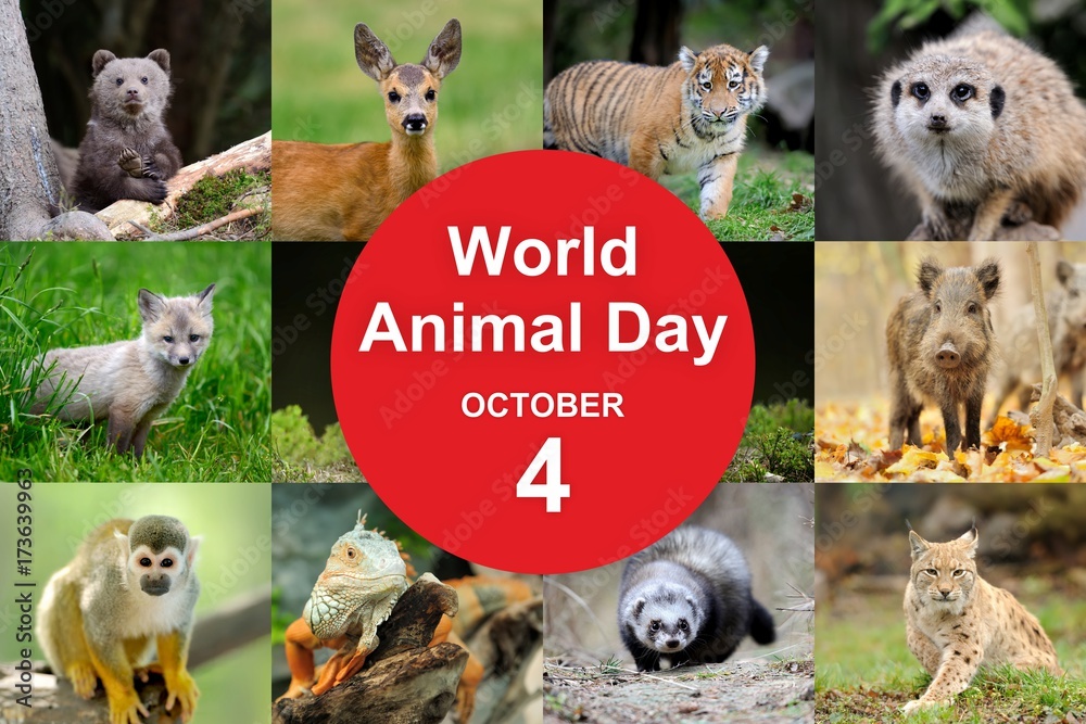 Naklejka premium Światowy dzień zwierząt