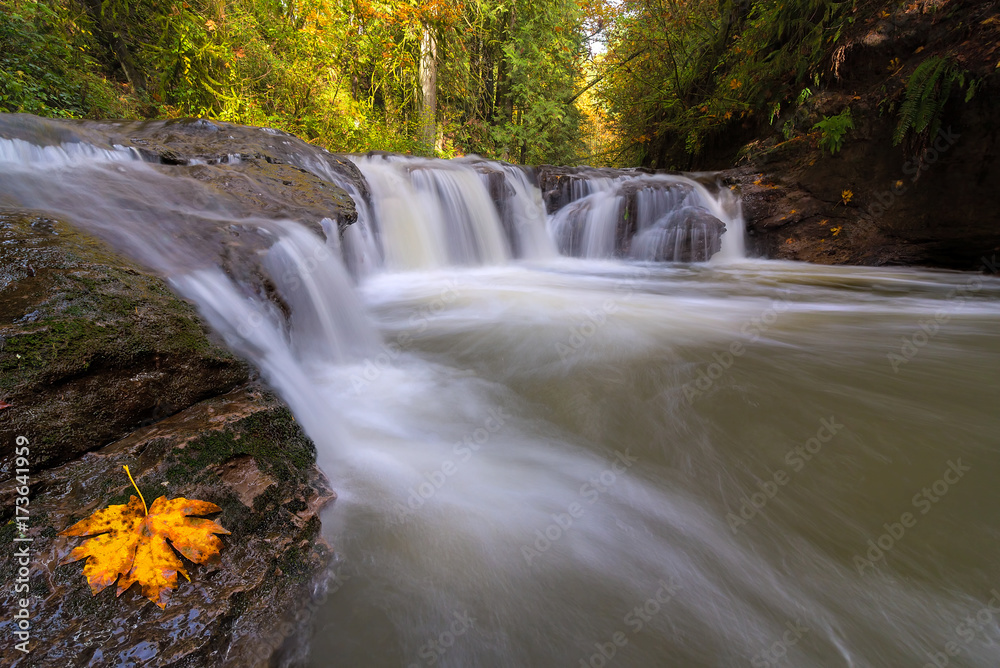 Fototapeta premium Rock Creek in Happy Valley Oregon USA America