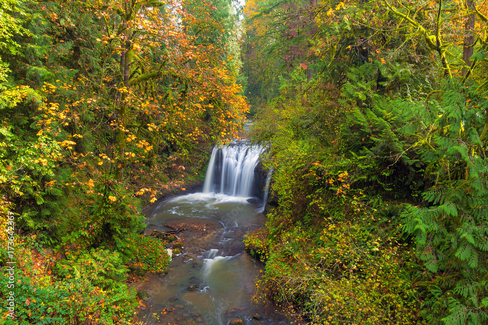 Fototapeta premium Hidden Falls in Autumn season Happy Valley Oregon USA America