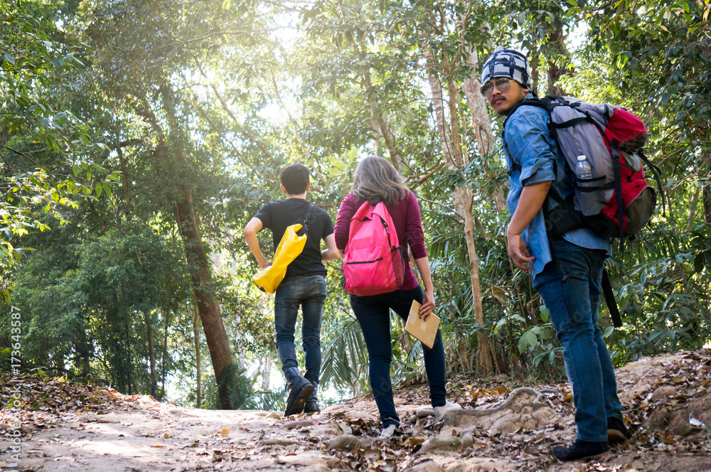 Asian travelers group walking into forest