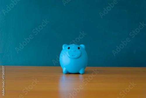 Piggy Bank